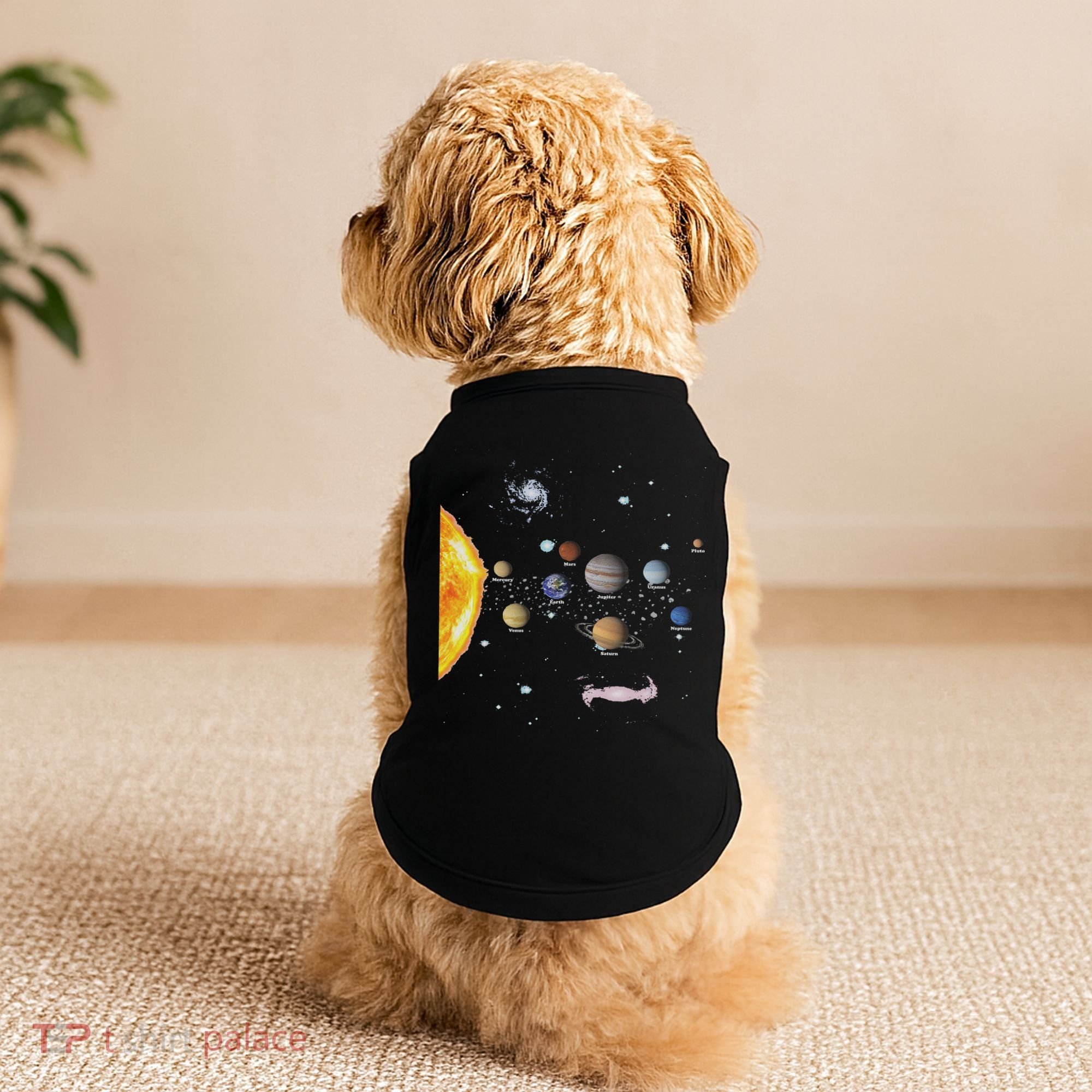 Stem Realistic Space Solar System Doggie Tank