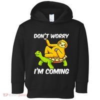 Sloth Riding Turtle Tortoise Sloth Lovers Toddler Hoodie thumb 0