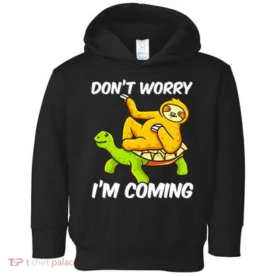 Sloth Riding Turtle Tortoise Sloth Lovers Toddler Hoodie