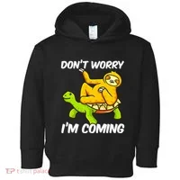 Sloth Riding Turtle Tortoise Sloth Lovers Toddler Hoodie thumb 0