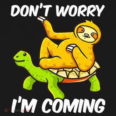 Sloth Riding Turtle Tortoise Sloth Lovers Toddler Hoodie