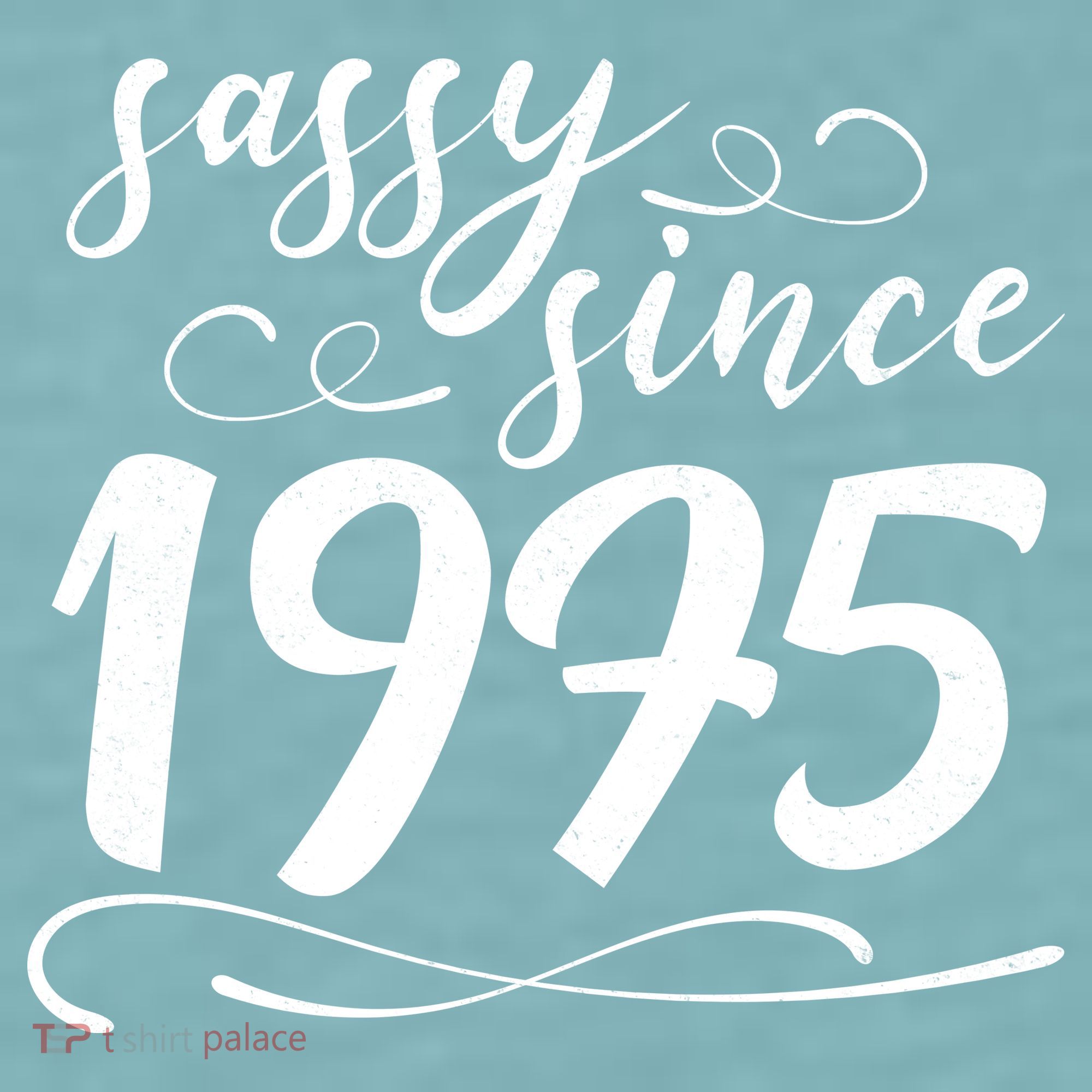 Sassy Since 1975 Birthday 50th Birthday Sueded Cloud Jersey T-Shirt
