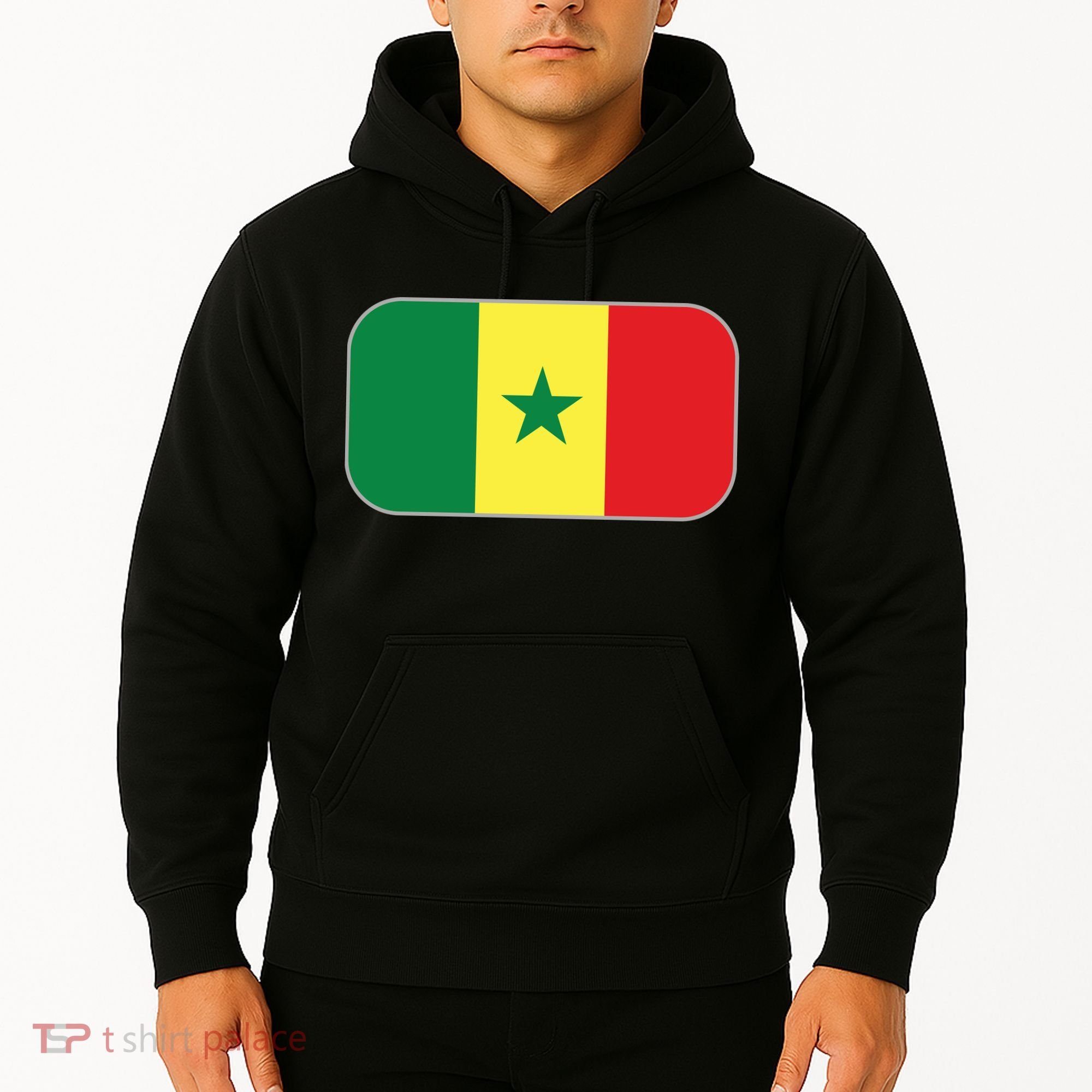 Senegal Soccer 2022 World Cup Senegalese Flag Hoodie