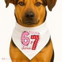 Six Seven 6-7 Valentines Day 67 Meme USA-Made Doggie Bandana thumb 1