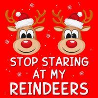 Stop Staring At My Reindeers Dirty Xmas Boob Joke Santa Hat thumb 1