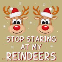 Stop Staring At My Reindeers Dirty Xmas Boob Joke Kids T-Shirt thumb 2