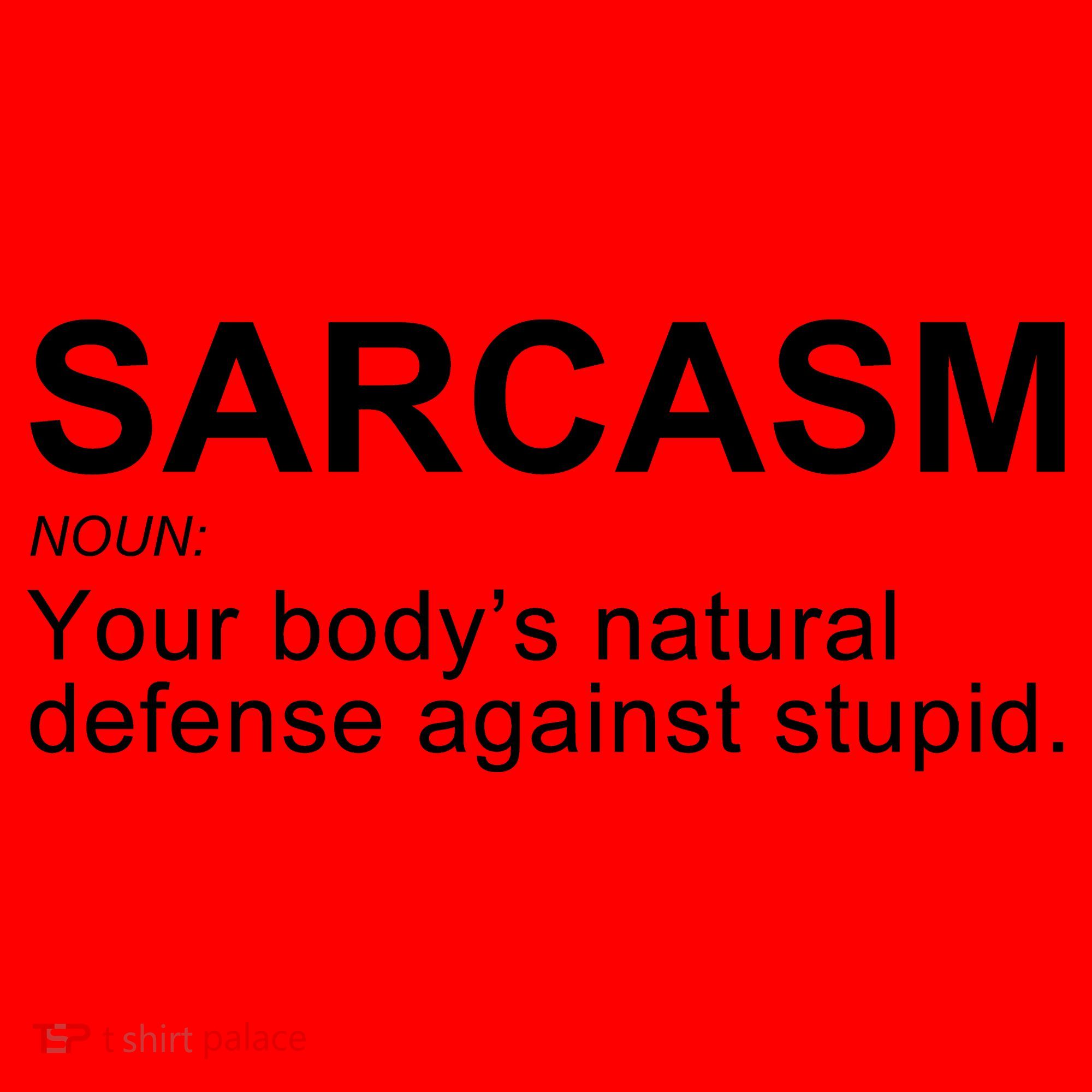 Sarcasm Santa Hat