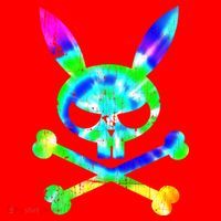Scary Skull And Crossbones Bad Rabbit Horror Bunny Tie Dye Gift Santa Hat thumb 1