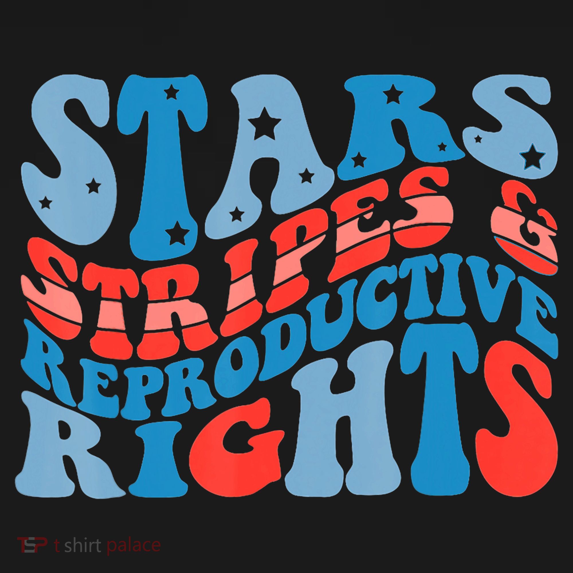 Stars Stripes And Equal Rights 4th Of July Toddler T-Shirt