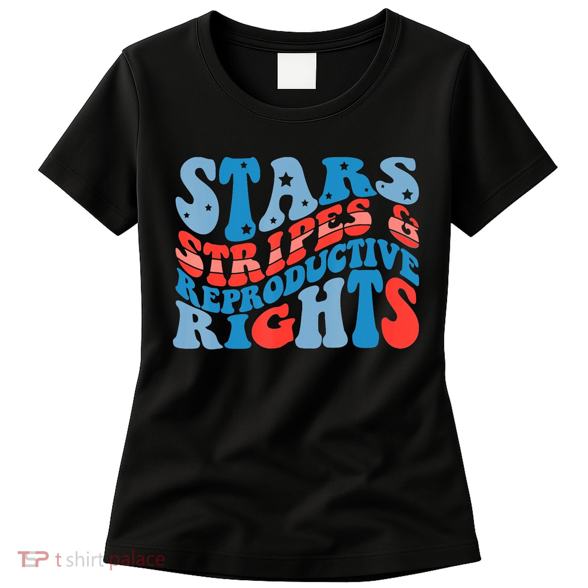 Stars Stripes And Equal Rights 4th Of July Women's T-Shirt