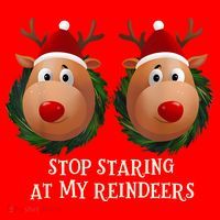 Stop Staring At My Reindeers Ugly Gag Xmas Sweater Christmas Santa Hat thumb 1