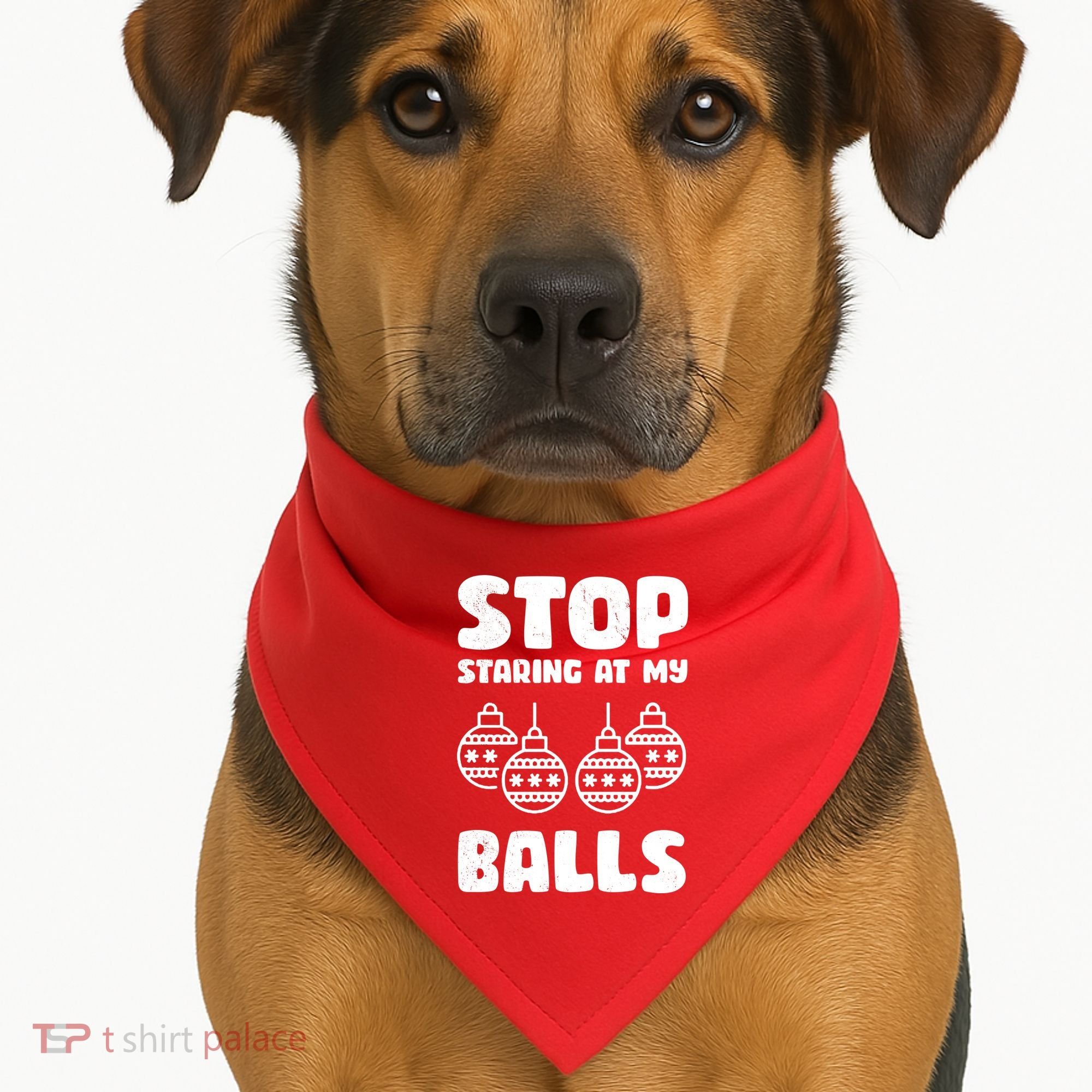 Stop Staring At My Balls Funny XMas USA-Made Doggie Bandana