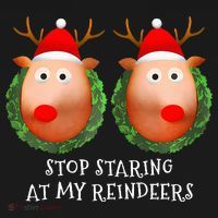 Stop Staring At My Reindeers Boob Ugly Gag Xmas Sweater  T-Shirt thumb 7