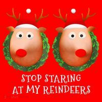 Stop Staring At My Reindeers Boob Ugly Gag Xmas Sweater  Santa Hat thumb 1