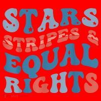 Stars Stripes And Equal Rights 4th Of July Womens Rights Santa Hat thumb 1