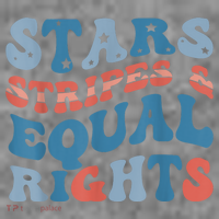 Stars Stripes And Equal Rights 4th Of July Womens Rights Toddler Hoodie thumb 2
