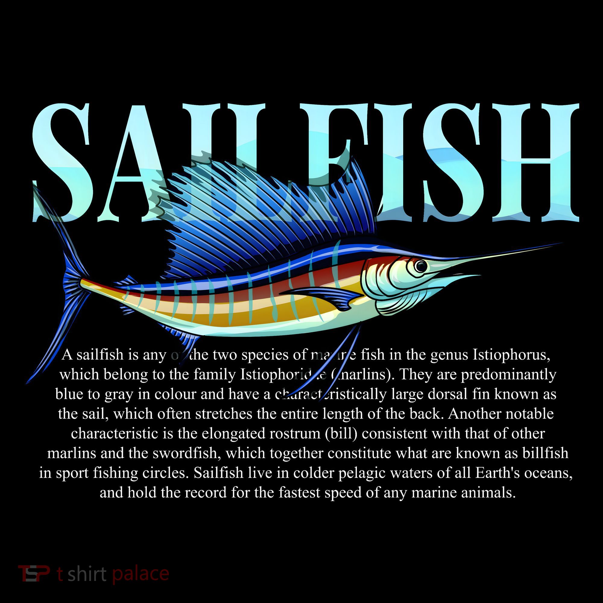 Sailfish Backpack