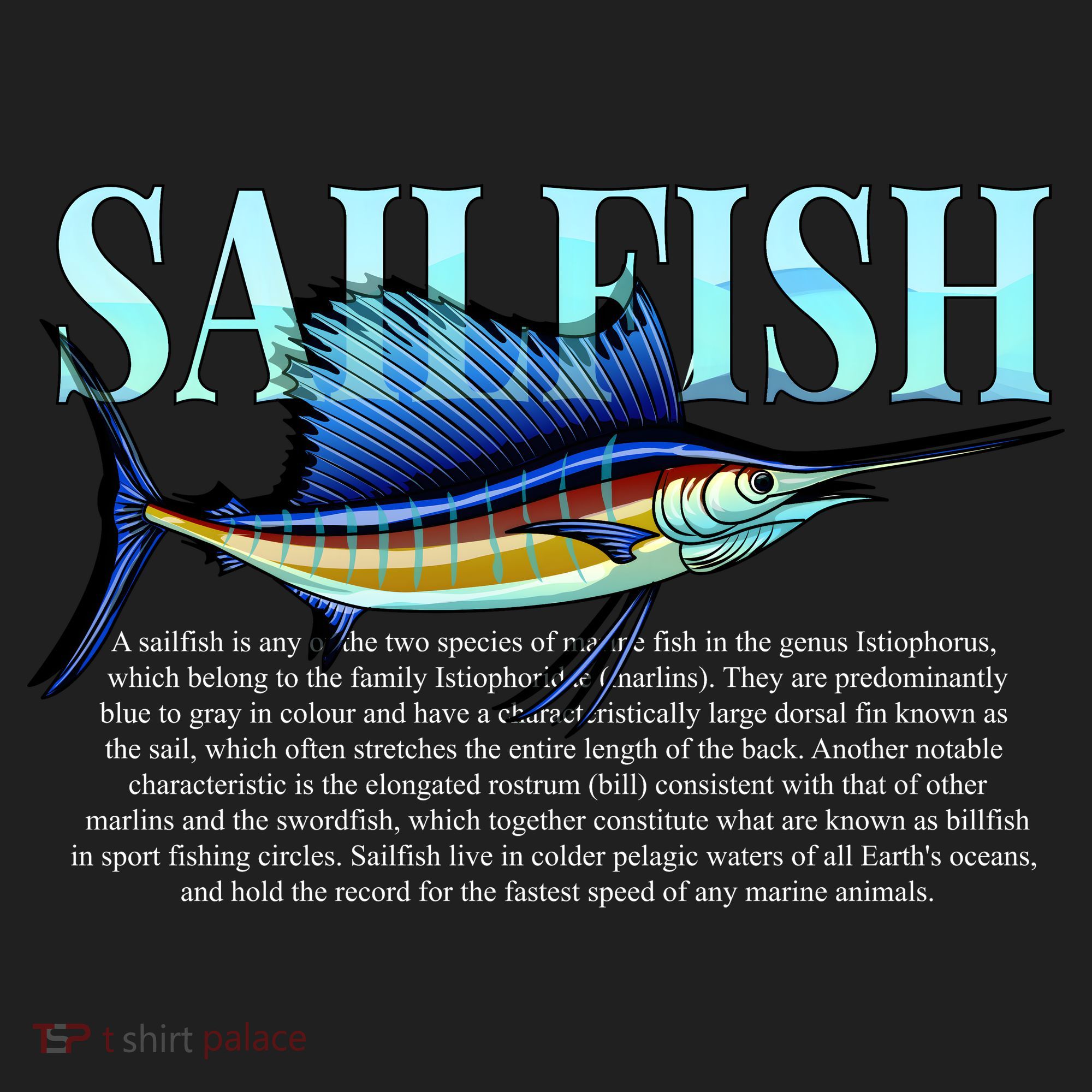 Sailfish Tumbler