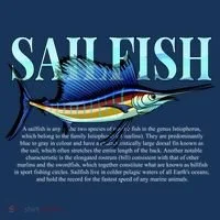 Sailfish Doggie Tank thumb 4
