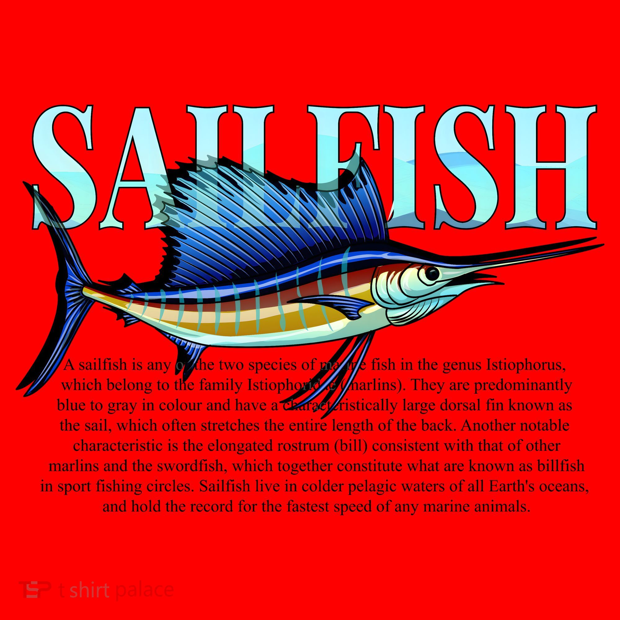 Sailfish Santa Hat