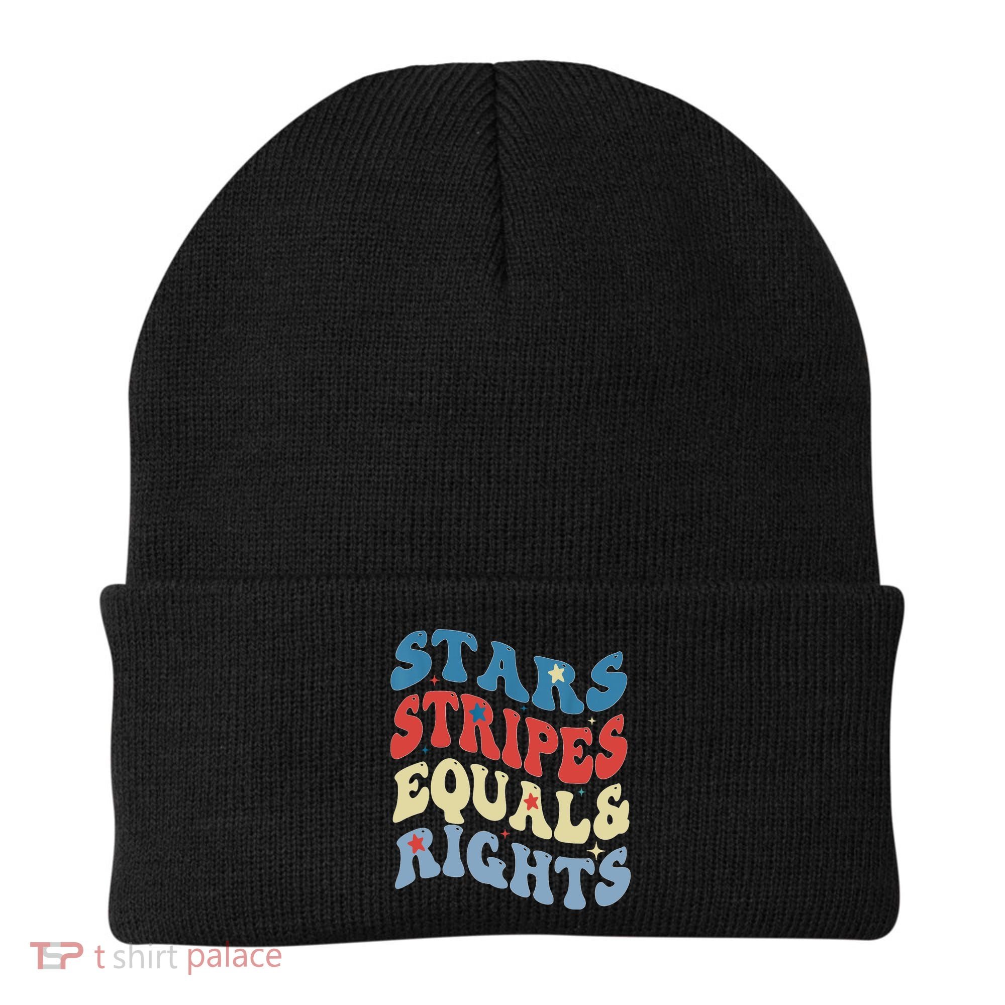 Stars Stripes And Equal Rights 4th Of July Womens Rights Beanie