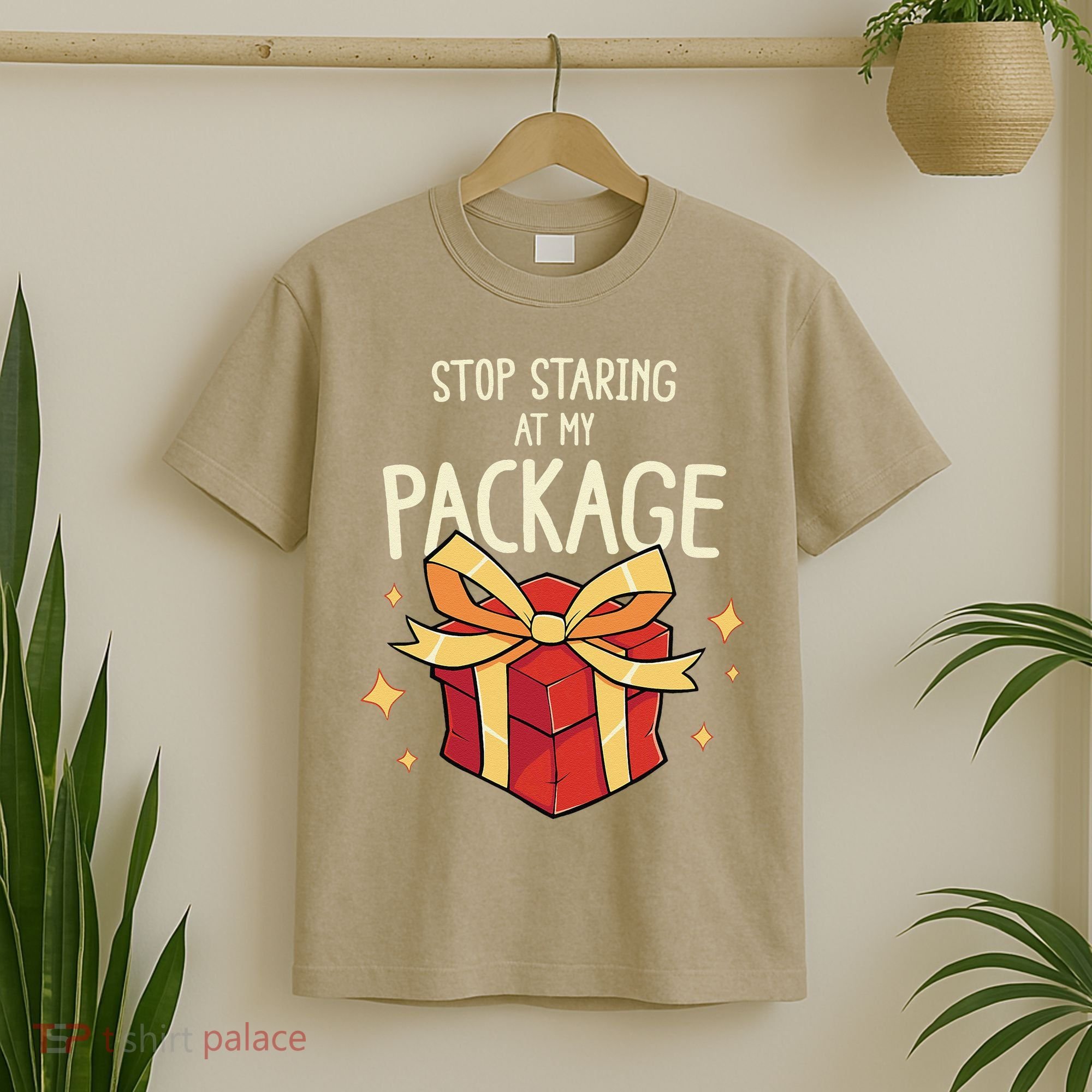 Stop Staring At My Package Funny Rude Xmas Christmas T-Shirt