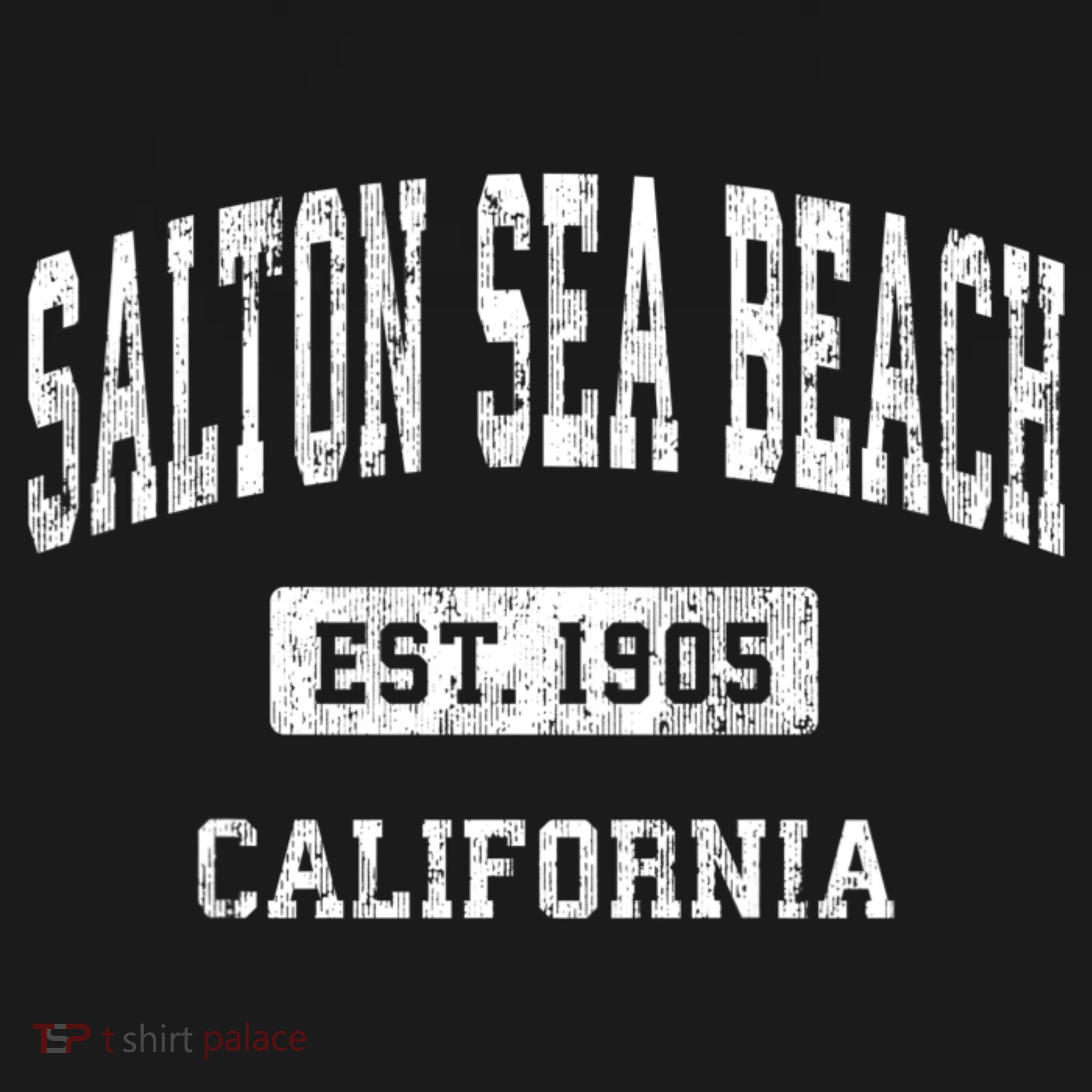 Salton Sea Beach California Ca Vintage Athletic T-Shirt