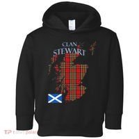 Stewart Scottish Clan Tartan Scotland Toddler Hoodie thumb 0