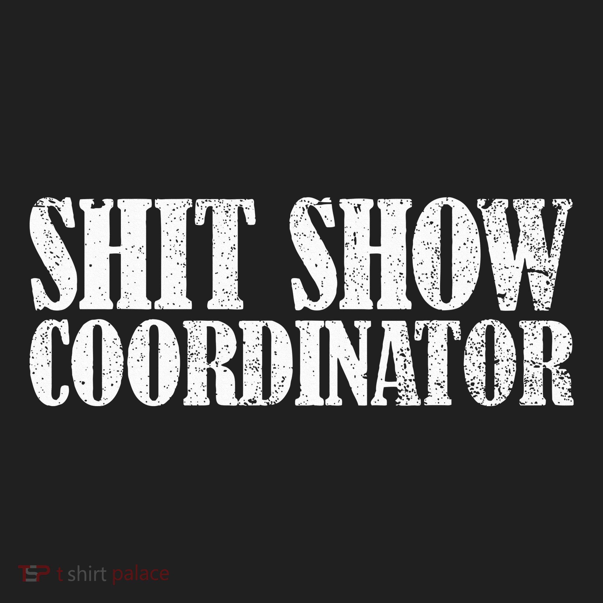 Shit Show Coordinator Funny Sarcastic Shit Show Beanie