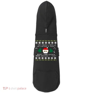 SQL Santa Claus Database Clause Developer Code DB Programmer Doddie Hoodie
