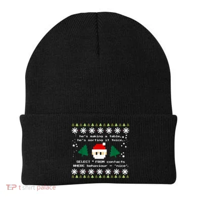 SQL Santa Claus Database Clause Developer Code DB Programmer Beanie