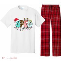 Sped Squad Christmas Lights Special Education Teacher Christmas Pajama Set thumb 0