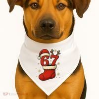 Six Seven Christmas 67 Stocking Santa Reindeer USA-Made Doggie Bandana thumb 1