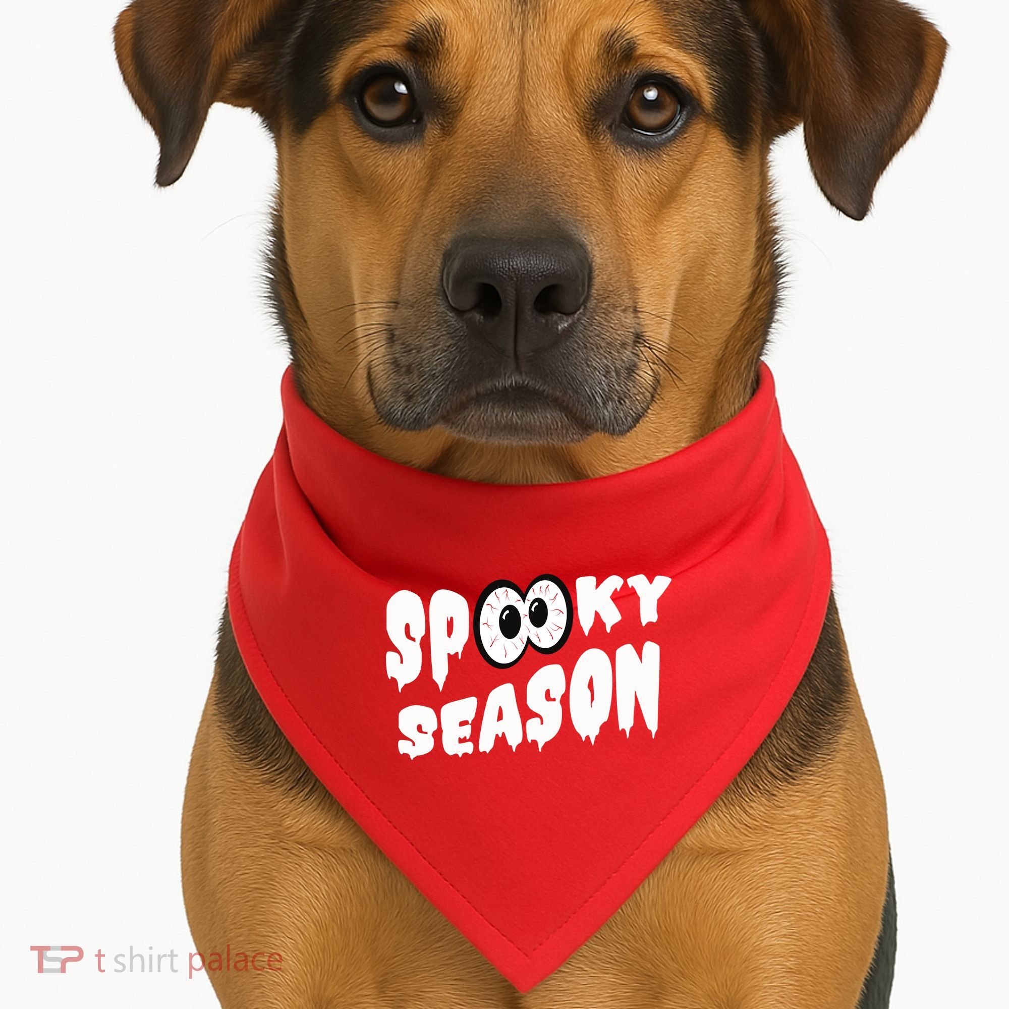 Spooky Season Crazy Eyes Halloween USA-Made Doggie Bandana