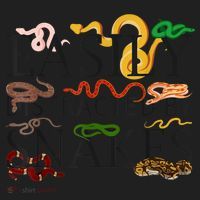 Snake Serpent Easily Distracted By Snakes Beanie thumb 2