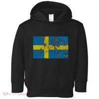 Sweden Stone Flag Toddler Hoodie thumb 0