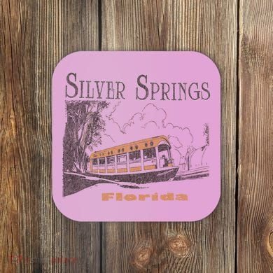 Silver Springs Florida Coaster