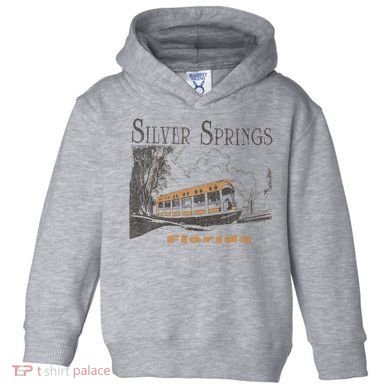 Silver Springs Florida Toddler Hoodie