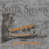 Silver Springs Florida Toddler Hoodie thumb 2