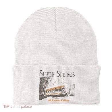 Silver Springs Florida Beanie