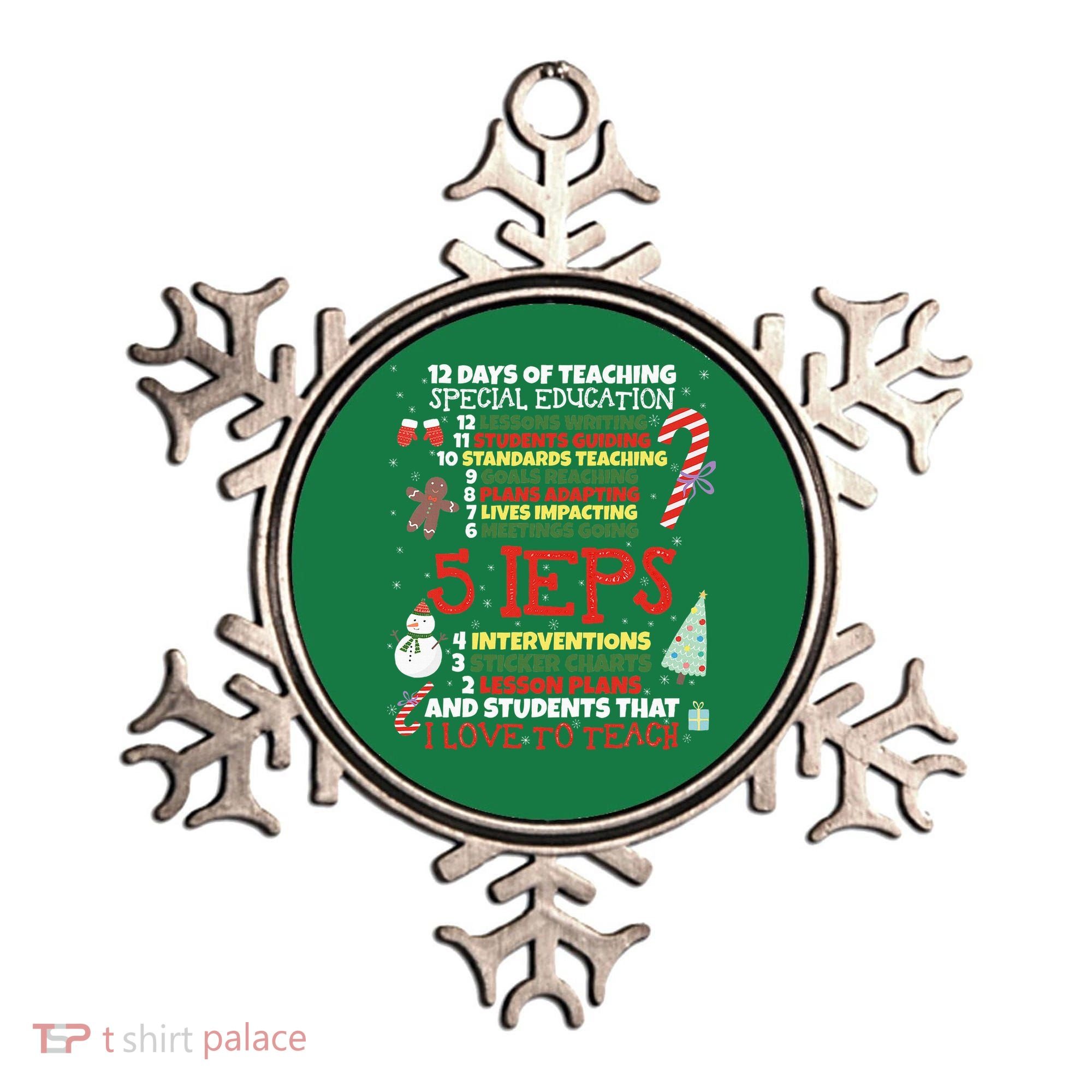 Sped School Funny Special Education Teacher Gift Ornament