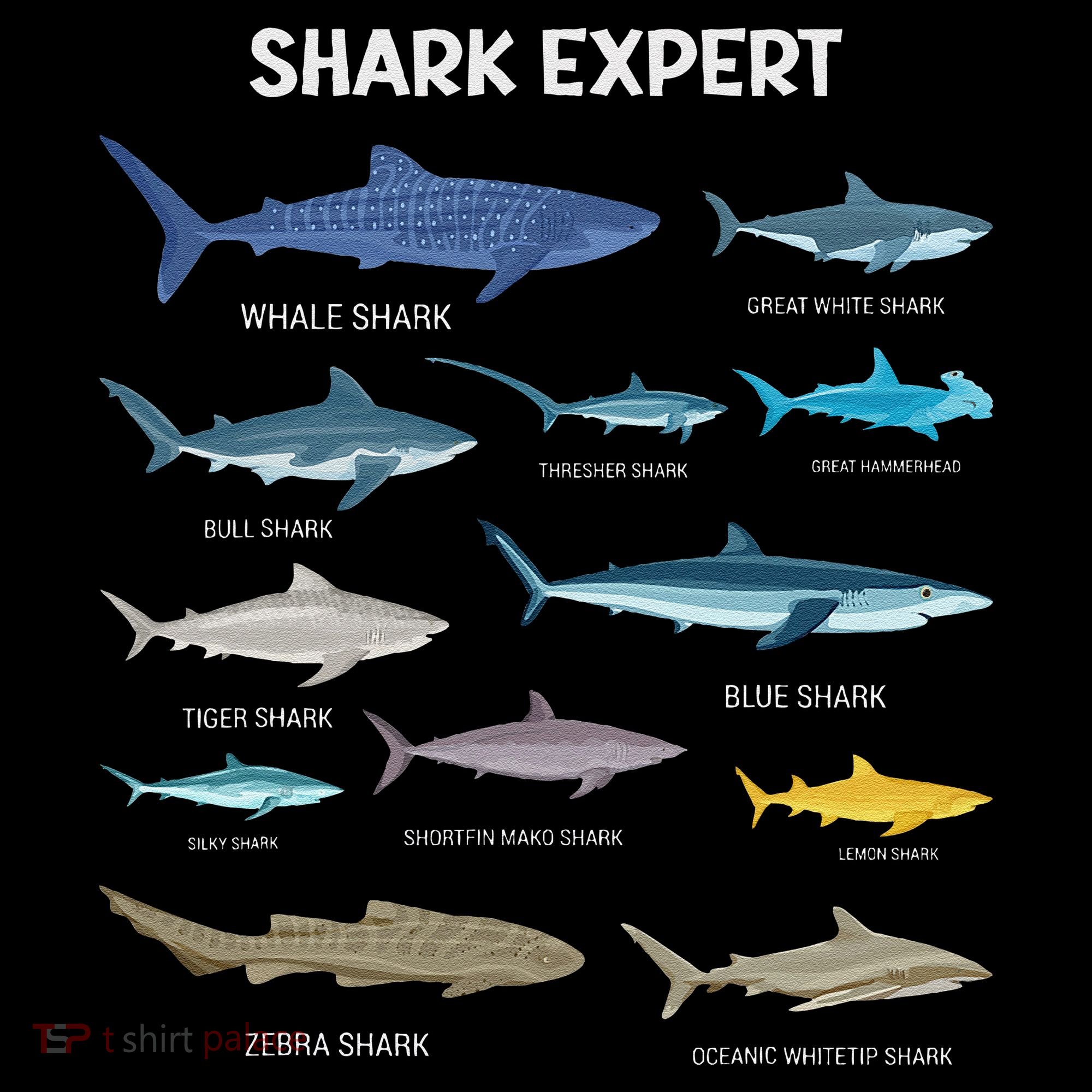 Shark Species Gift Coffee Mug