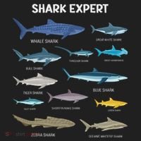 Shark Species Gift Tumbler thumb 3