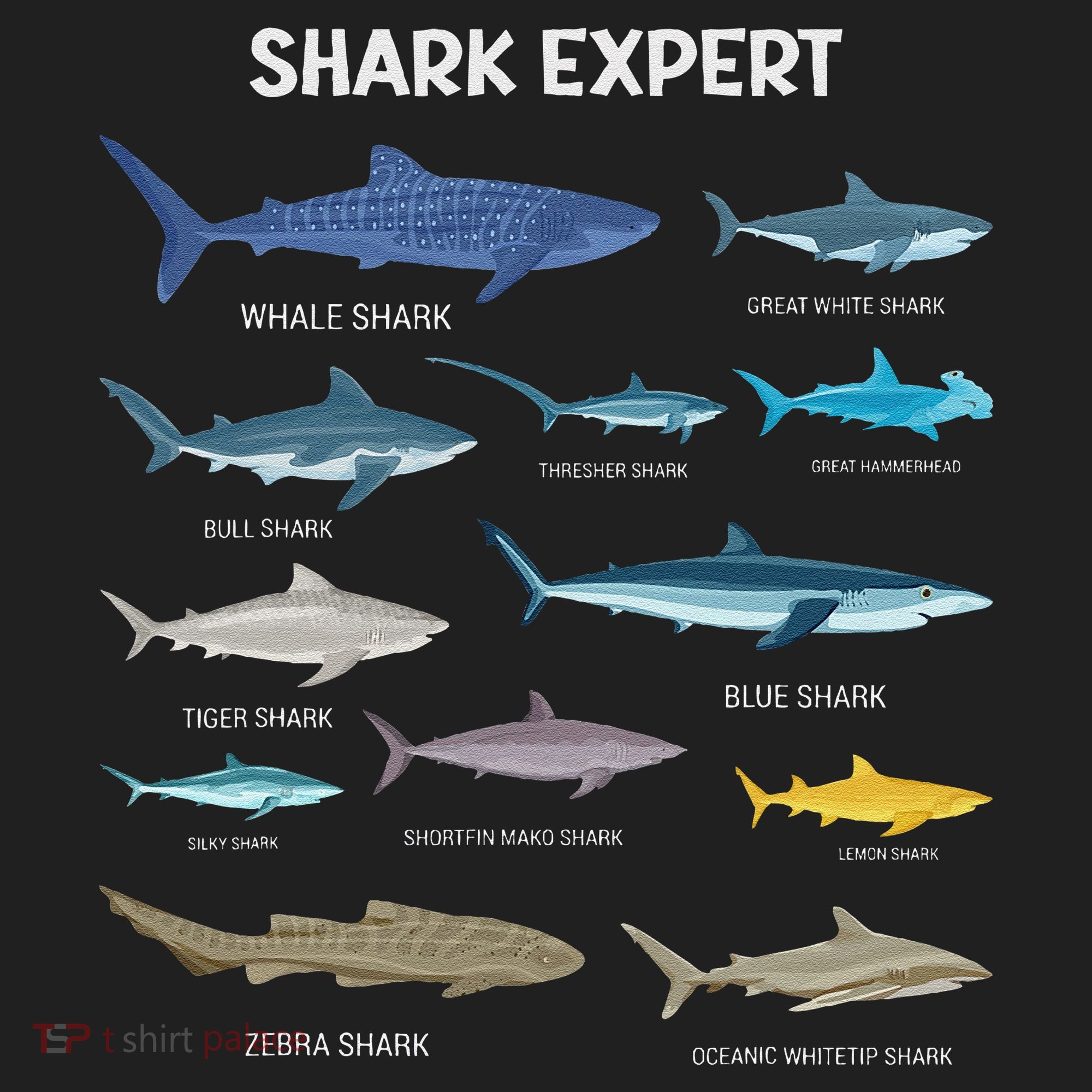 Shark Species Gift Tumbler