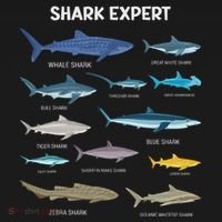 Shark Species Gift Kids Sweatshirt thumb 2