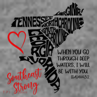 Southeast Strong Hurricane Helene Survivor When You Go Through Deep Wat Toddler Hoodie thumb 2
