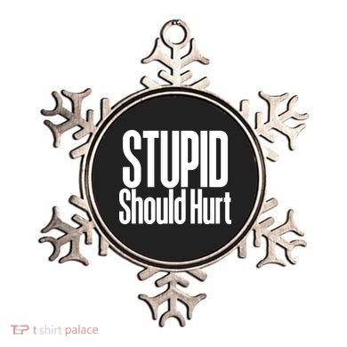 Stupid Should Hurt Ornament