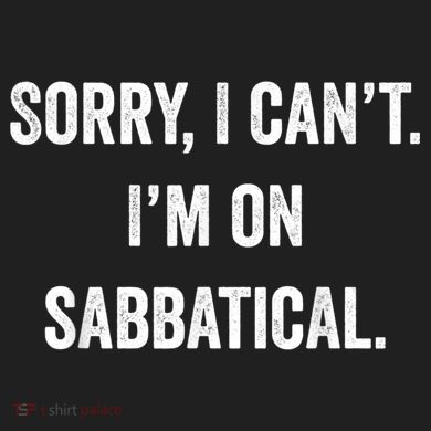 Sabbatical Sorry I Cant I'm On Sabbatical Zone Performance Long-Sleeve T-Shirt