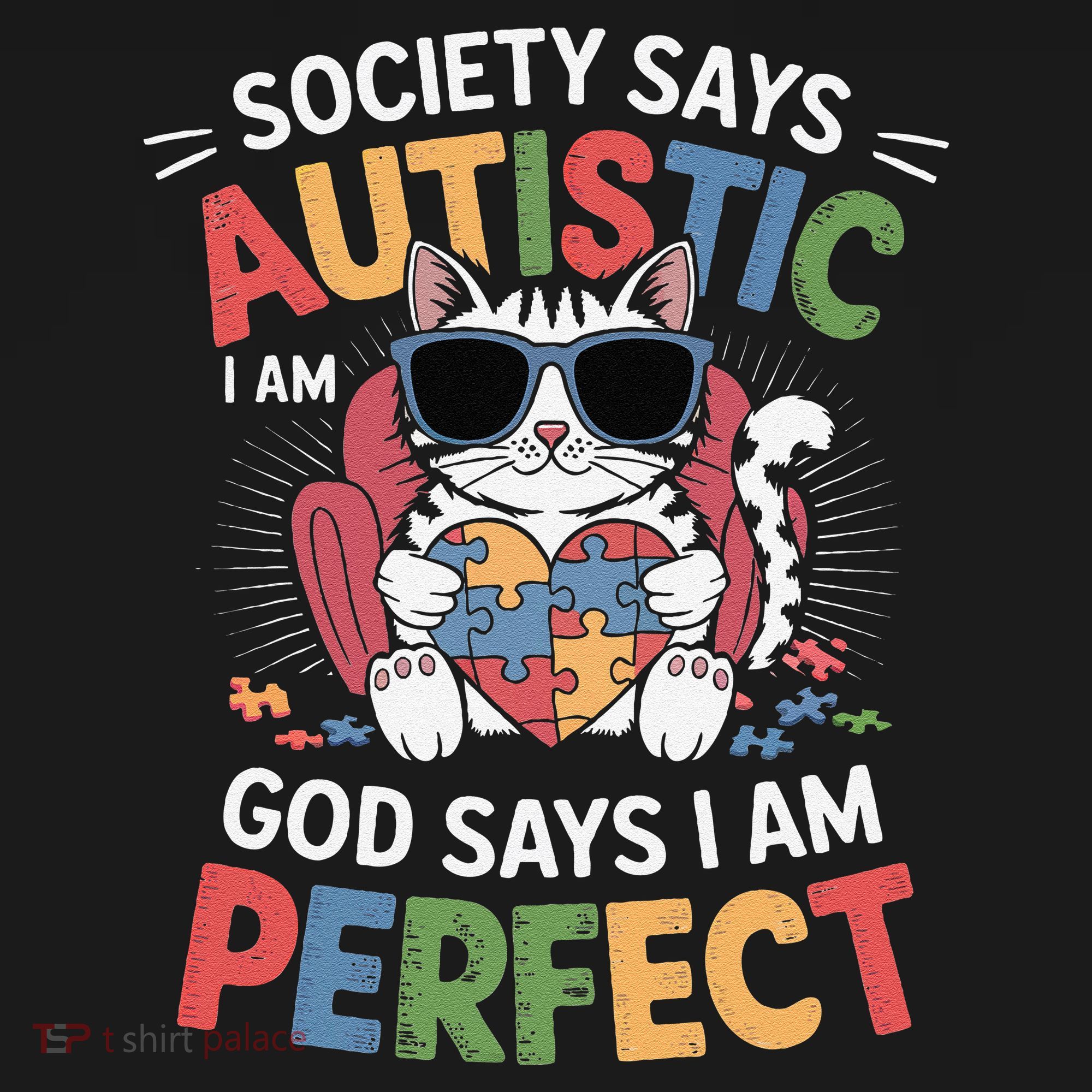 Society Says I Am Autistic God Says I Am Perfect Autism Cat Women's Hoodie