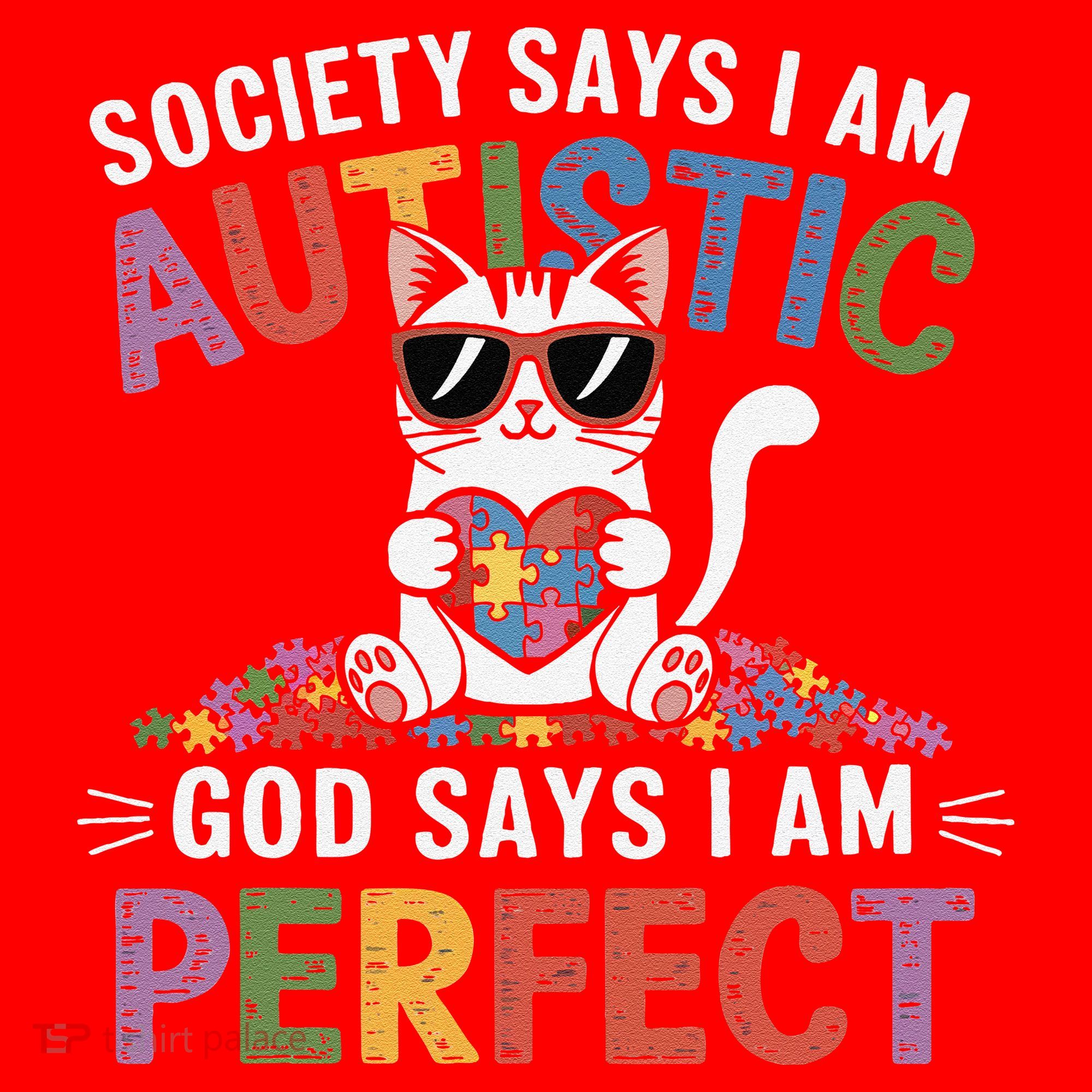 Society Says I Am Autistic God Says I Am Perfect Autism Cat Santa Hat